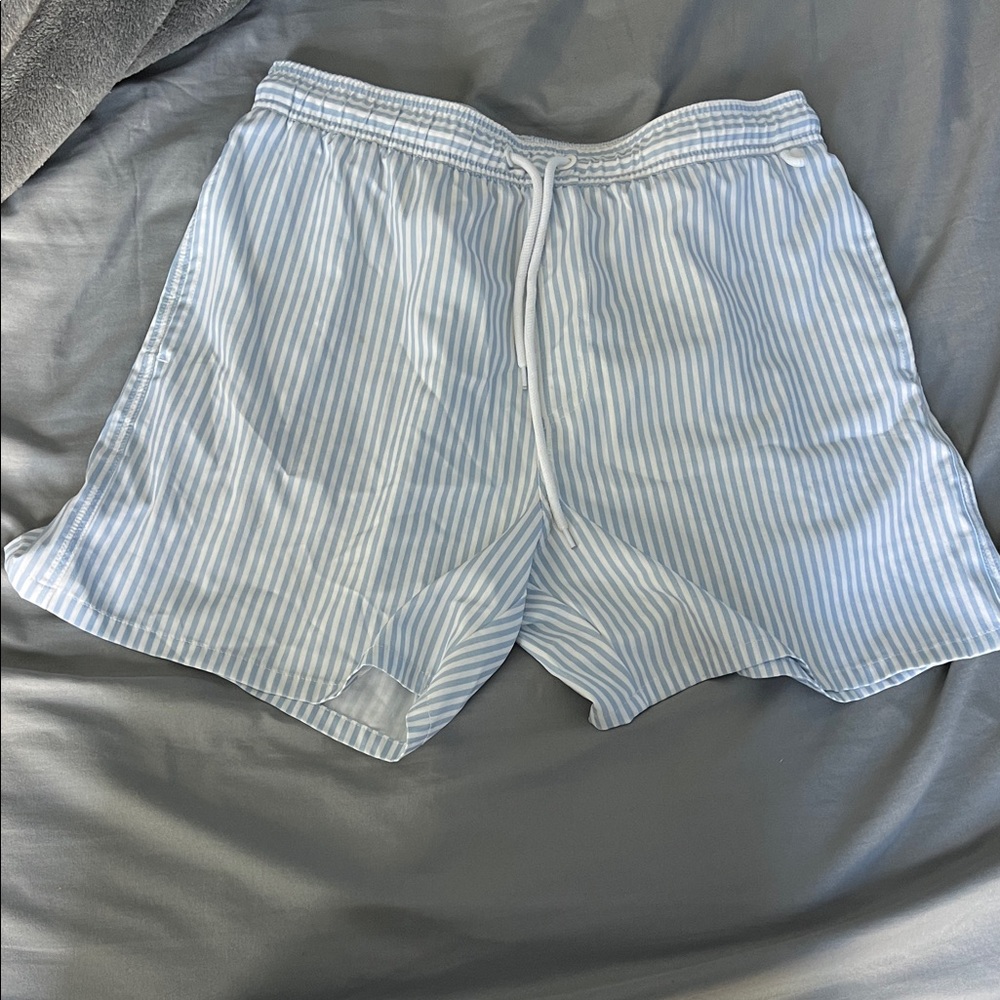 Blue Striped Men's Dress Shorts